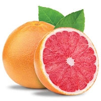 Grapefruit