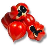 Guarana