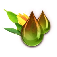 Ulei de Ylang-Ylang